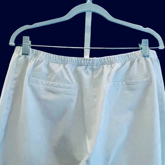 Women With Control Petite Slim Leg Ankle Pants. White. 2X Petite. - Picture 4 of 11
